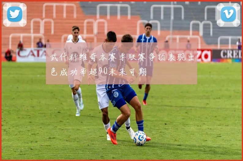 武什科维奇本赛季联赛争顶表现出色成功率超90未来可期